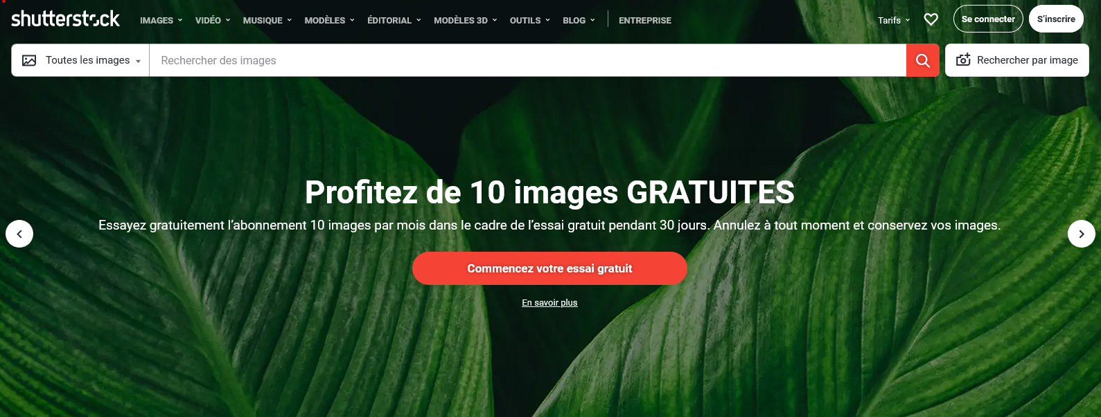 Téléchargez 10 images GRATUITES sans plus attendre dans le cadre d’un essai sans engagement, en vous inscrivant sur Shutterstock