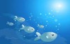 poissons dans l'eau