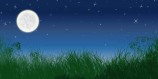 Ambiance nocturne