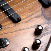 Guitare basse - détails