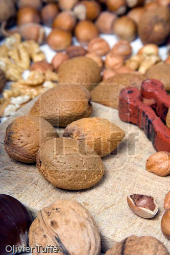 Fruits_secs_030.jpg