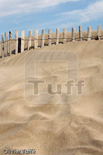 Ganivelle_018.jpg