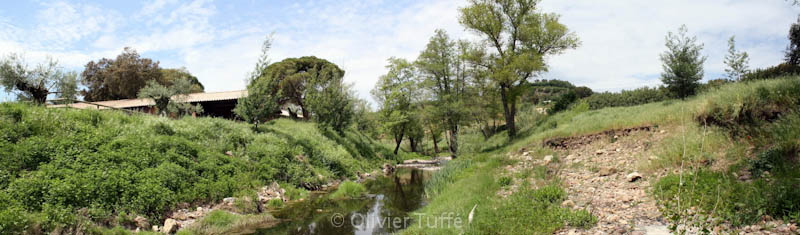 Projet d'aménagement paysager : protection des berges Projet d'aménagement paysager : protection des berges